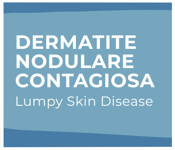 Dermatite nodulare contagiosa